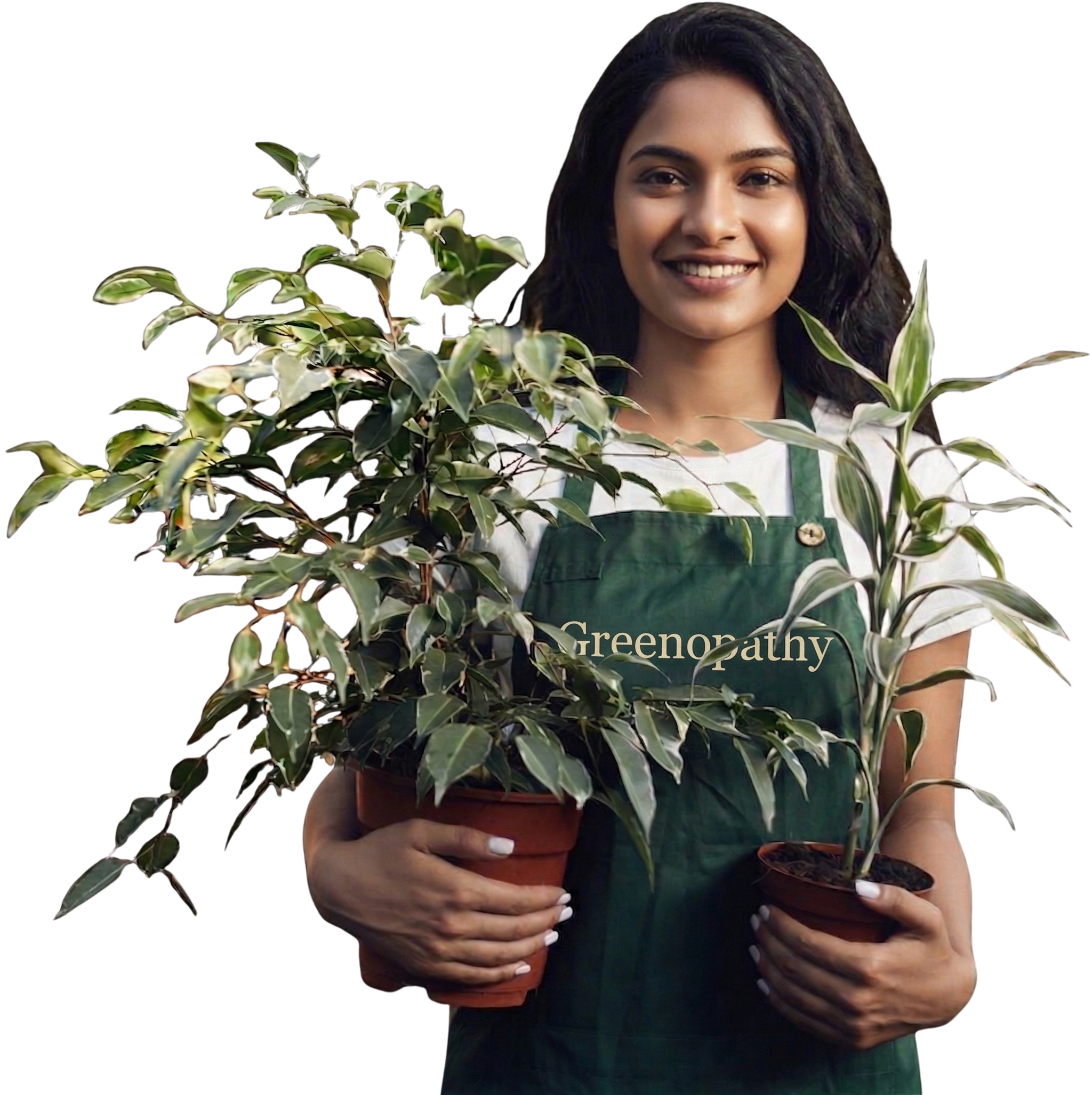 Professional Gardener