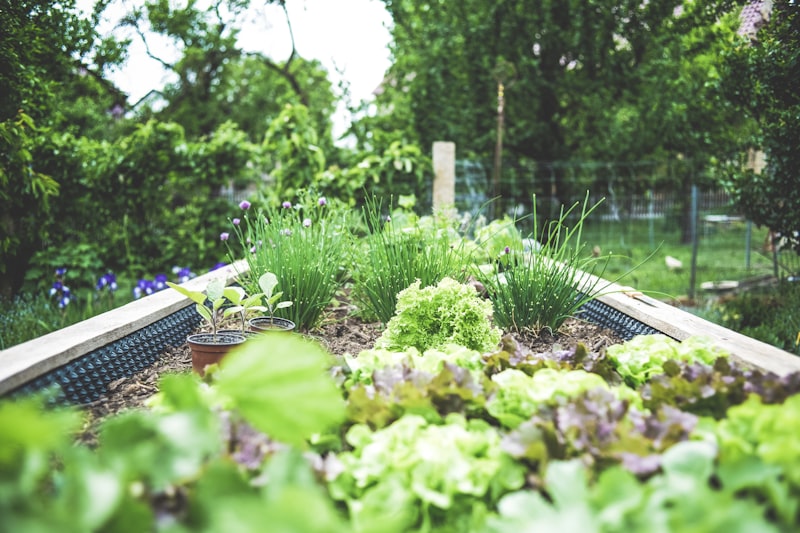 Sustainable Gardening: How to Create a Beautiful Garden While Reducing Your Environmental Footprint
